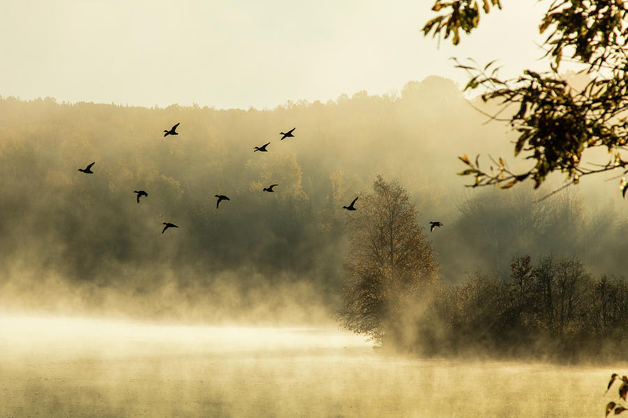 Morning Fog On Haley Pond In Rangeley Maine Photograph