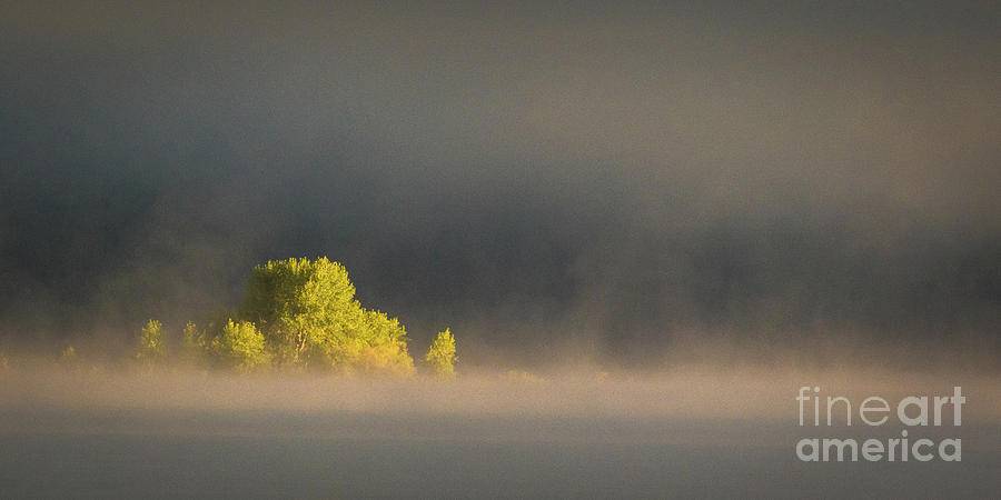 Morning fog on Jackson Lake Grand Teton National Park  Photograph by Brandon Bonafede
