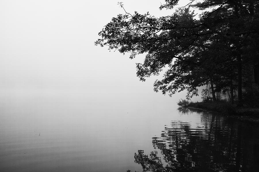 Morning Fog on the Lake Photograph by Hugh Smith