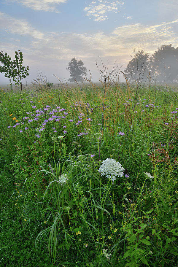Morning Fog over Glacial Park Prairie Photograph by Ray Mathis