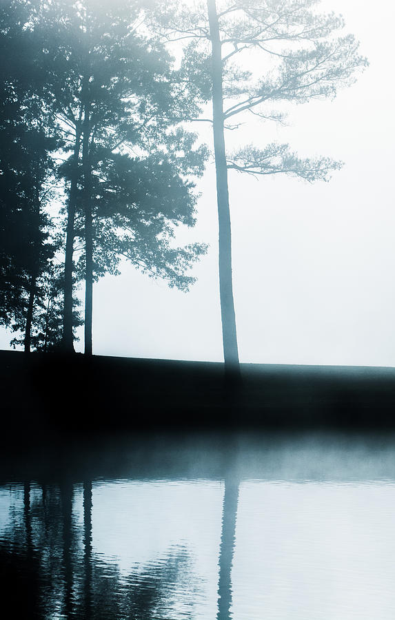 Morning Fog Photograph by Parker Cunningham