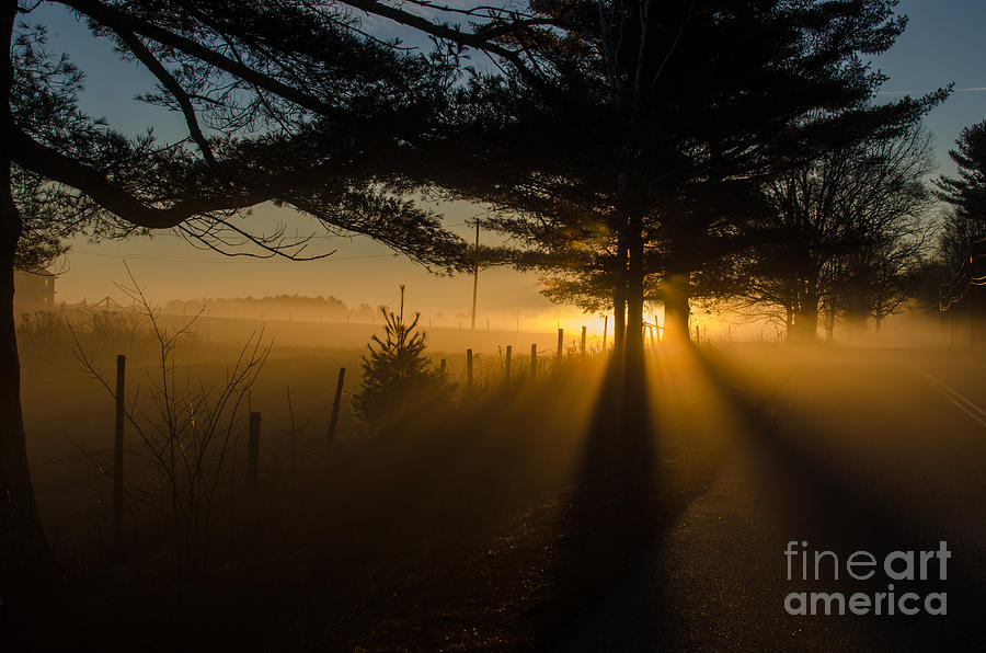 Morning Fog Photograph by Paul Noble