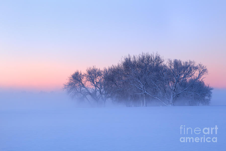 Morning Fog  Photograph by Ronda Kimbrow