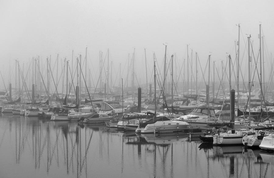 Black And White Photograph - Morning Fog by Terence Davis