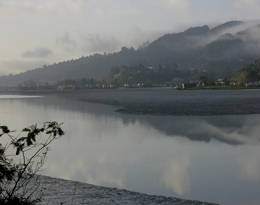 Morning fog Photograph by Vari Buendia Morning fog Photograph by Vari Buendia
