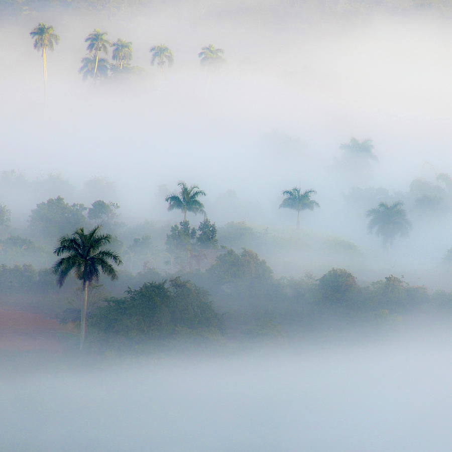 Morning Fog, Vinales Valley Photograph by Marla Craven