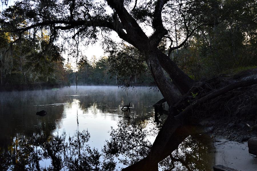Morning Fog Photograph by Warren Thompson