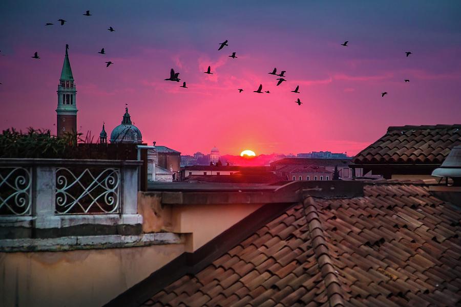  Morning In Venice  Photograph by Harriet Feagin