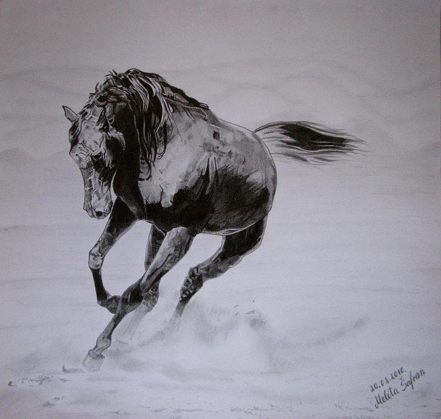 Horse Drawing - Morning game 2 by Melita Safran