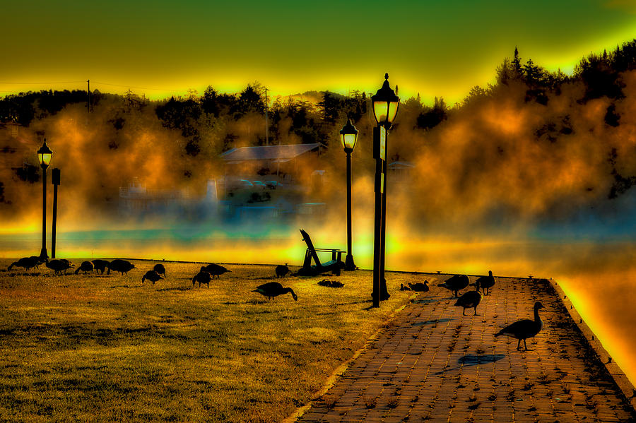 Morning Geese at Old Forge Pond Photograph by David Patterson
