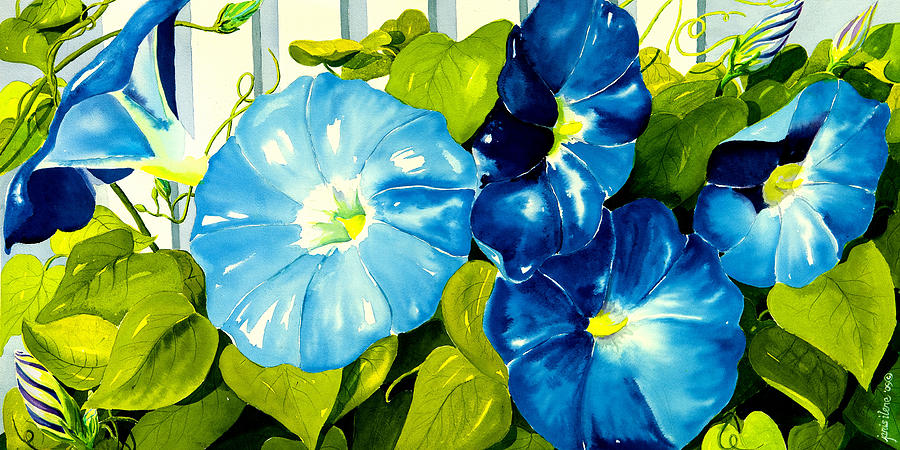 Morning Glories in Blue Painting by Janis Grau