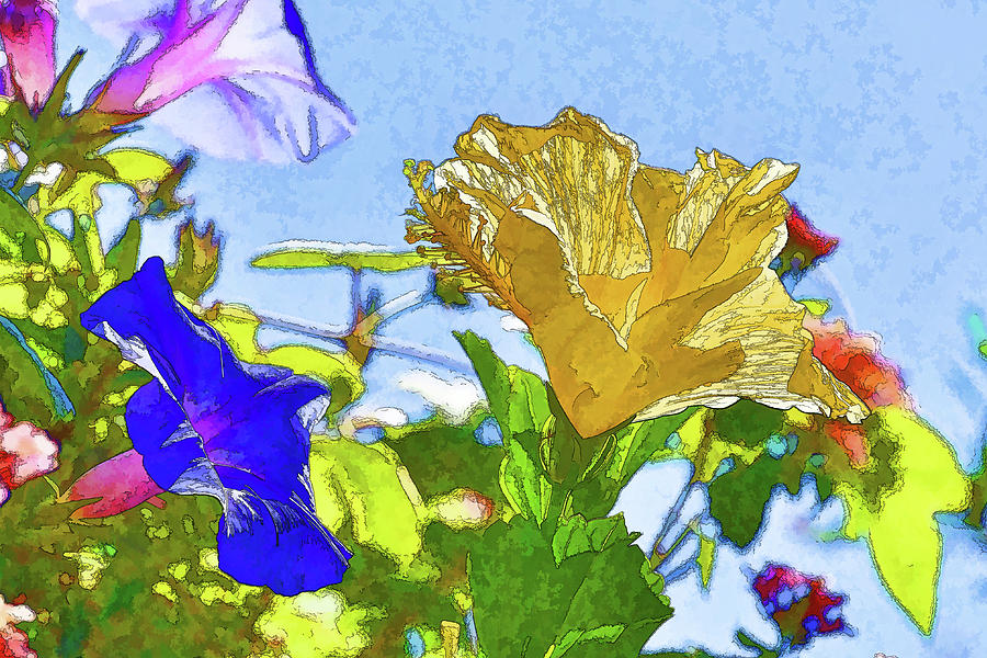 Morning Glory and Hibiscus VI Artistic II  Digital Art by Linda Brody