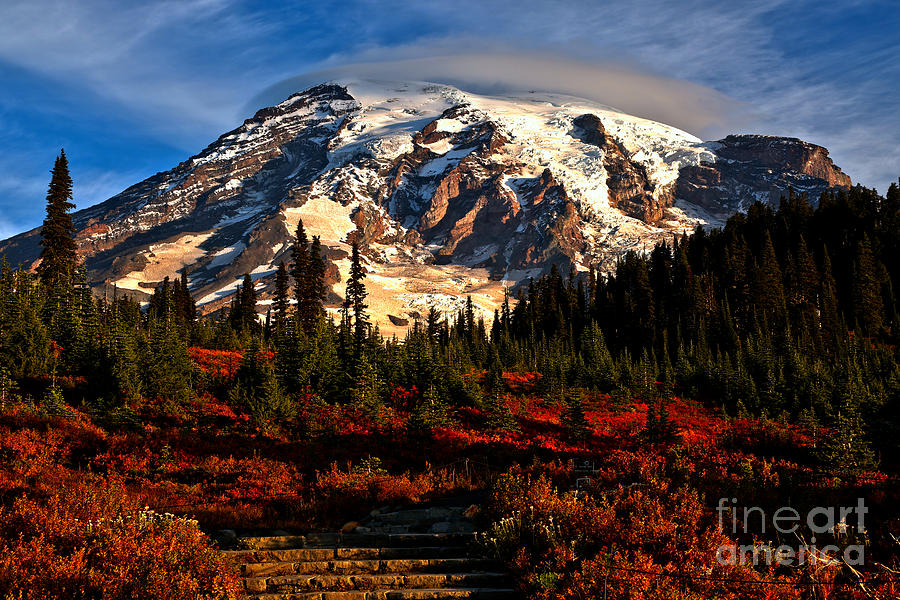 Morning Glory At Mt. Rainier Photograph by Adam Jewell