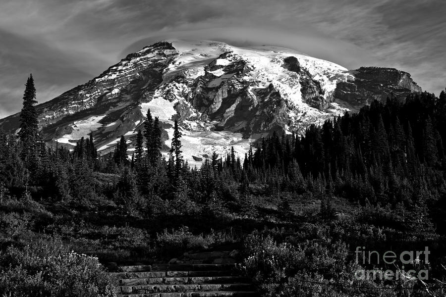Morning Glory At Mt. Rainier - Black And White Photograph by Adam Jewell