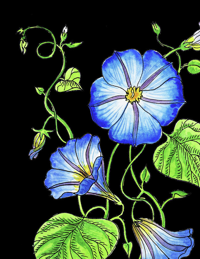 Morning Glory Flower Watercolour Painting