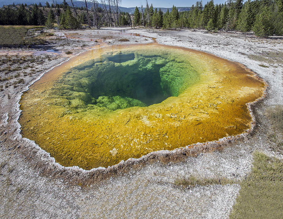 Morning Glory Hot Spring In Yellowstone National Park Photograph by ...