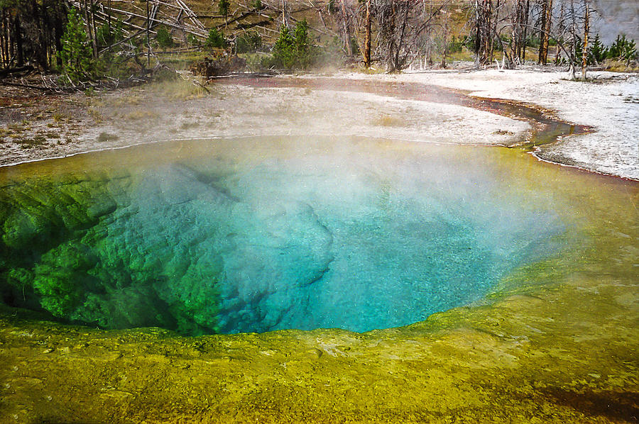 Morning Glory Pool Yellowstone National Park Photograph By Naturespix