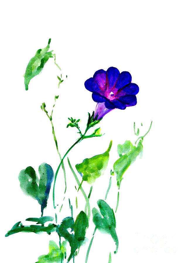 Morning Glory Flowers Painting - Morning Glory by Sweeping Girl