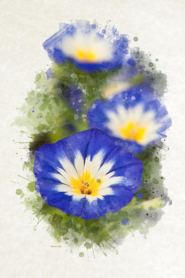 Morning Glory Watercolor Art Mixed Media By Christina Rollo