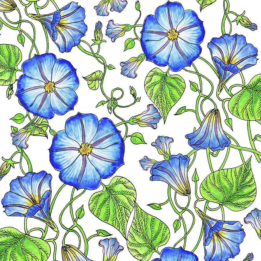 Morning Glory Watercolor Pattern Painting