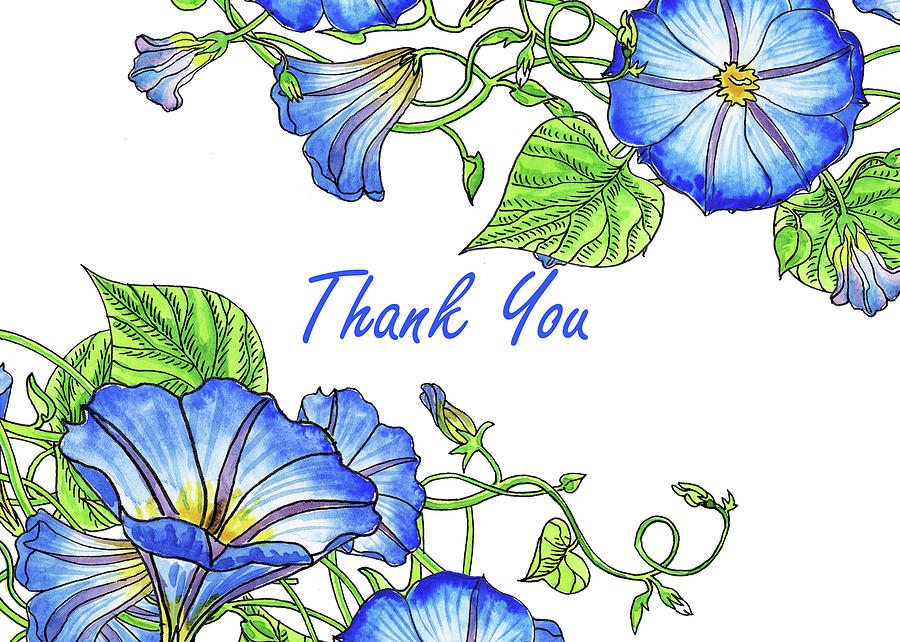 Flower Painting - Morning Glory Watercolor Thank You Card Design by Irina Sztukowski