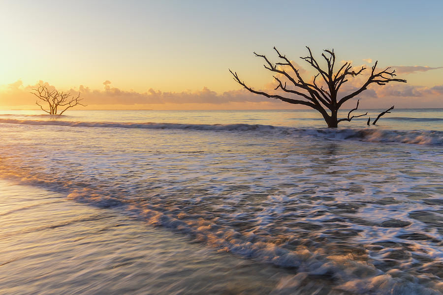 Morning glow at Botany Bay beach Photograph by Stefan Mazzola