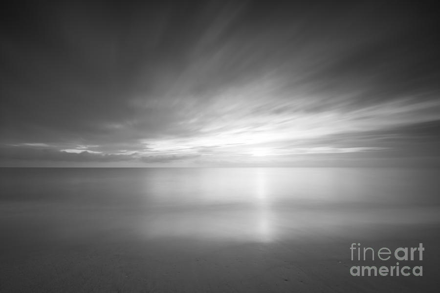 Morning Glow BW Photograph by Michael Ver Sprill
