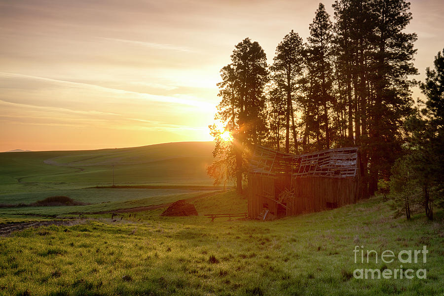 Morning Glow Photograph by Idaho Scenic Images Linda Lantzy