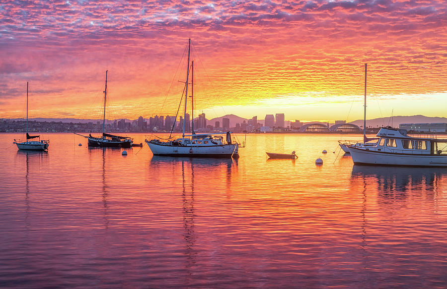 Morning Glow San Diego Harbor Photograph by Joseph S Giacalone