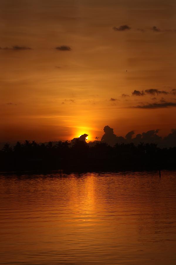 Sunrise Photograph - Morning Gold by Diane Merkle