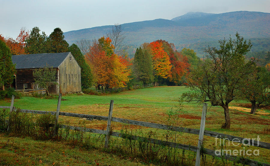 Morning Grove - New England Fall Monadnock farm Photograph by Jon Holiday