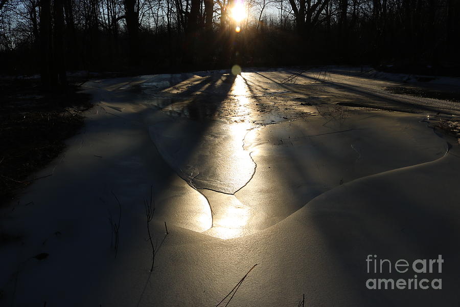 Morning Ice Photograph by Erick Schmidt