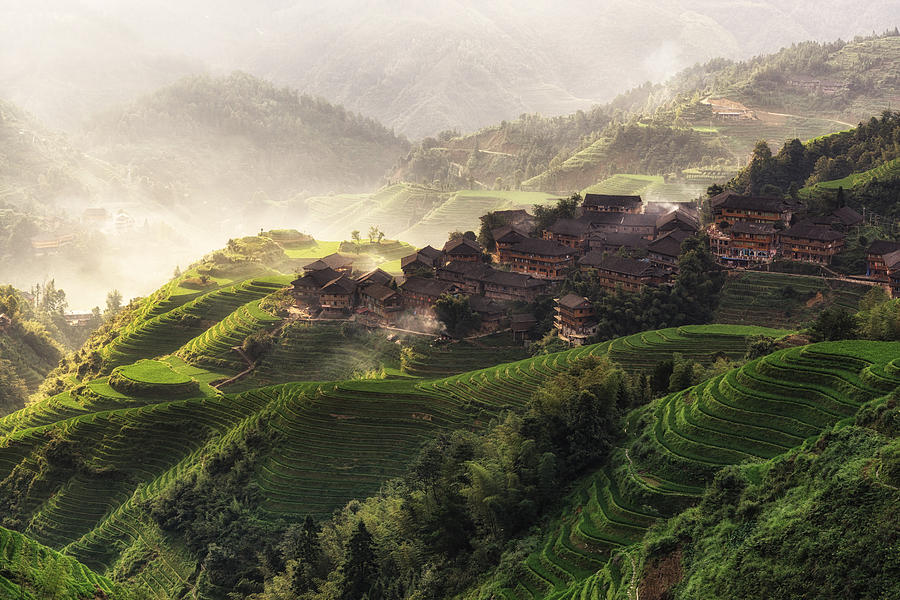 Mountain Photograph - Morning in longji rice terrace by Aaron Choi