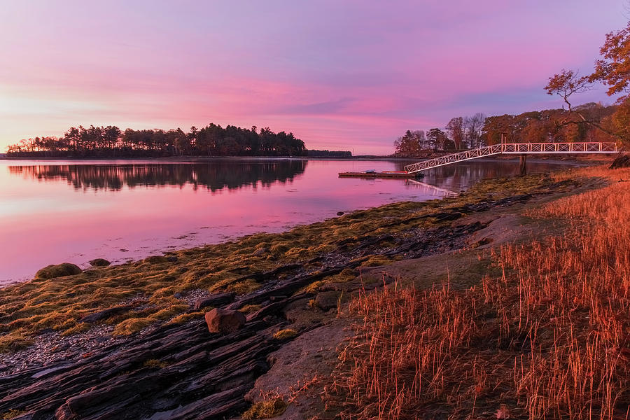 Morning In Maine Photograph by Tom Singleton