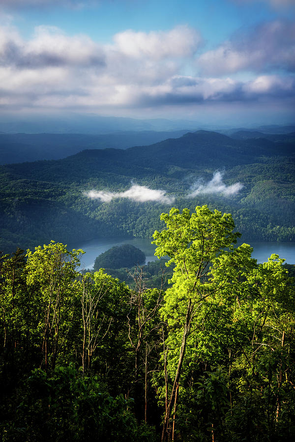 Morning in the Blue Ridge Mountains Photograph by Debra and Dave Vanderlaan