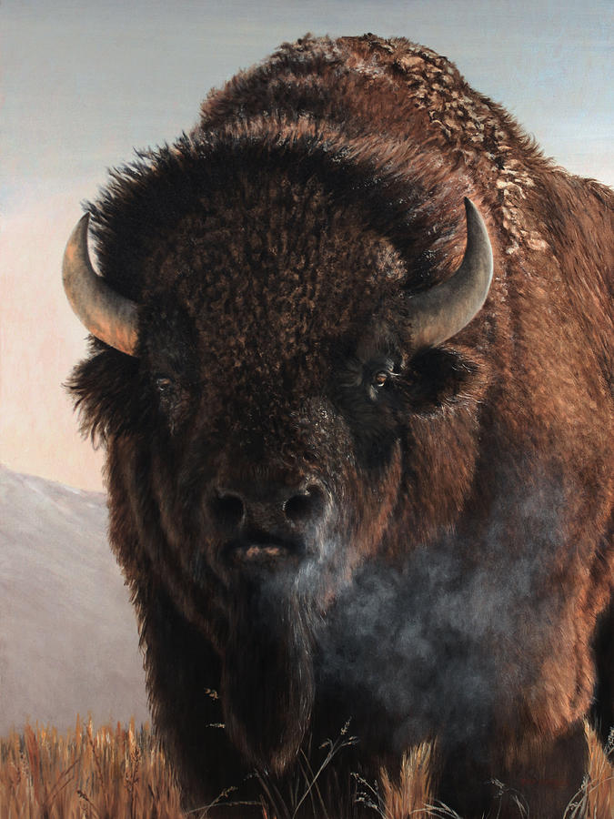 Bison Painting - Morning in the Foothills  by Dreyer Wildlife Print Collections 