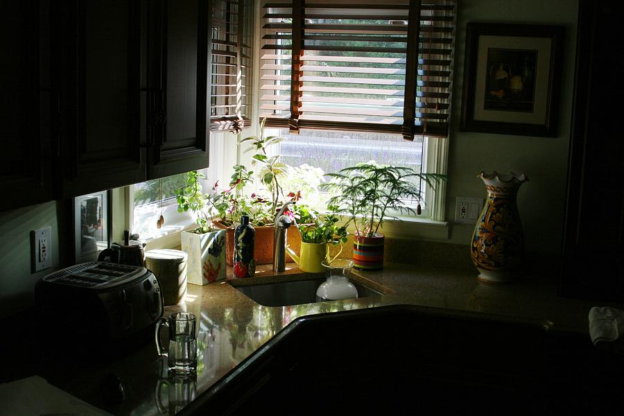 House Photograph - Morning in the kitchen by Y C