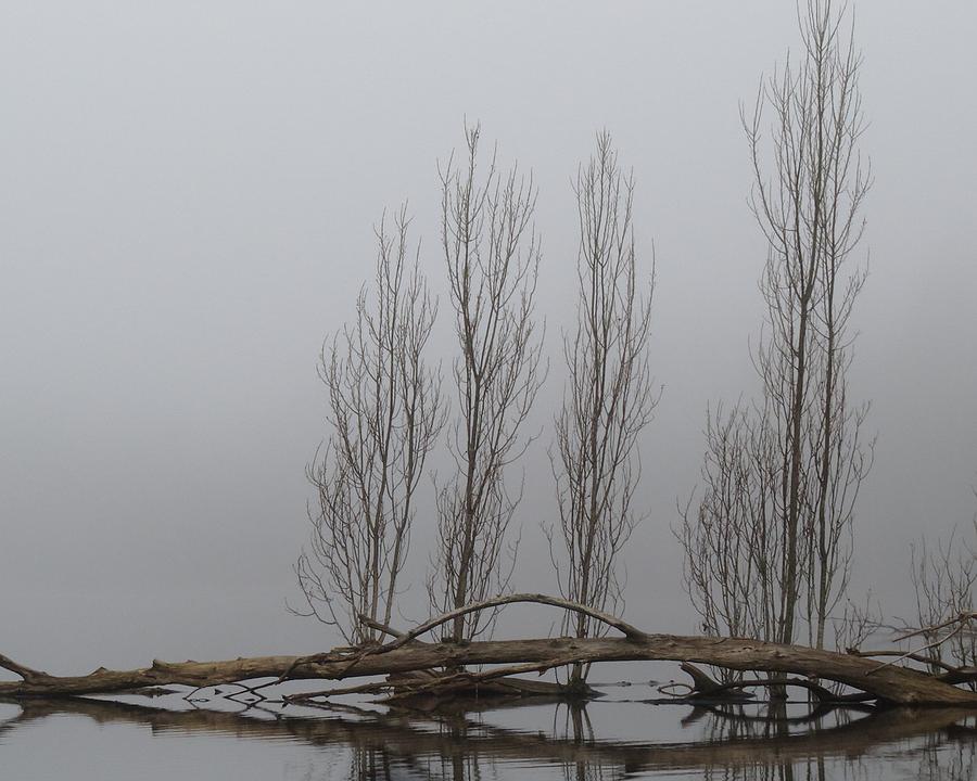 Morning in the Mist Digital Art by Iina Van Lawick