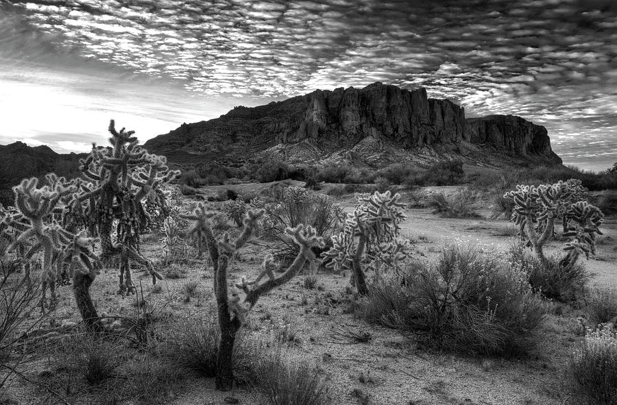 Morning in the Superstitions Photograph by Sue Cullumber