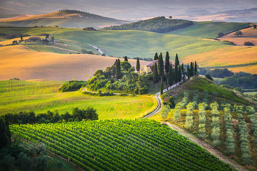 Morning in Tuscany Photograph by Stefano Termanini
