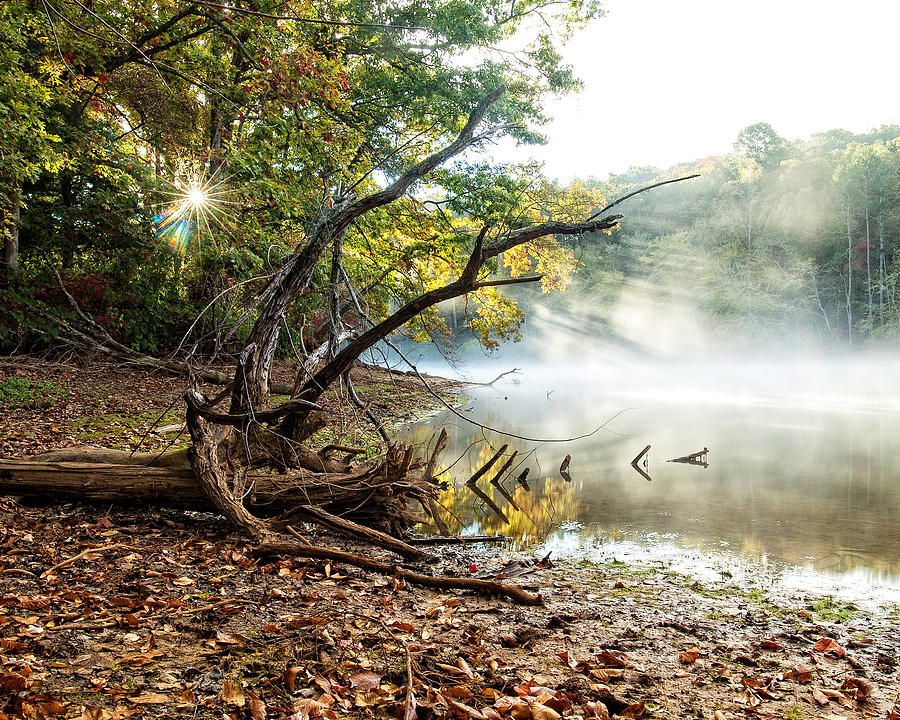 Morning Lake Fog Photograph by Alan Raasch
