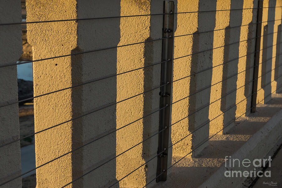 Morning Light And Shadows Photograph by Jennifer White