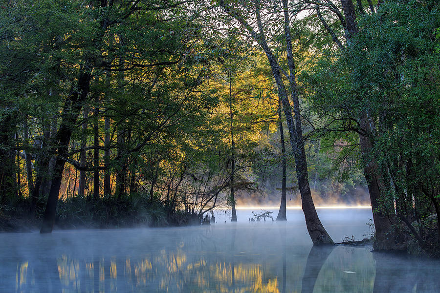 Spring Photograph - Morning Light at Ginnie Springs by Stefan Mazzola