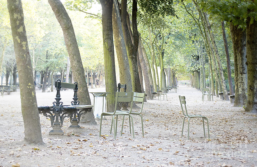Morning light at Jardin du Luxembourg Photograph by Ivy Ho