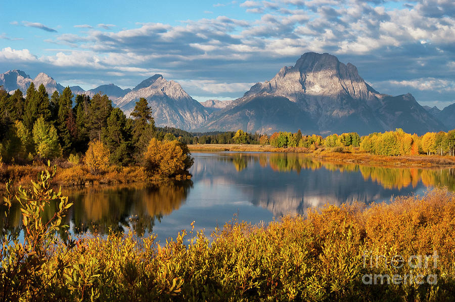 Morning Light at Oxbow Bend Two Photograph by Bob Phillips