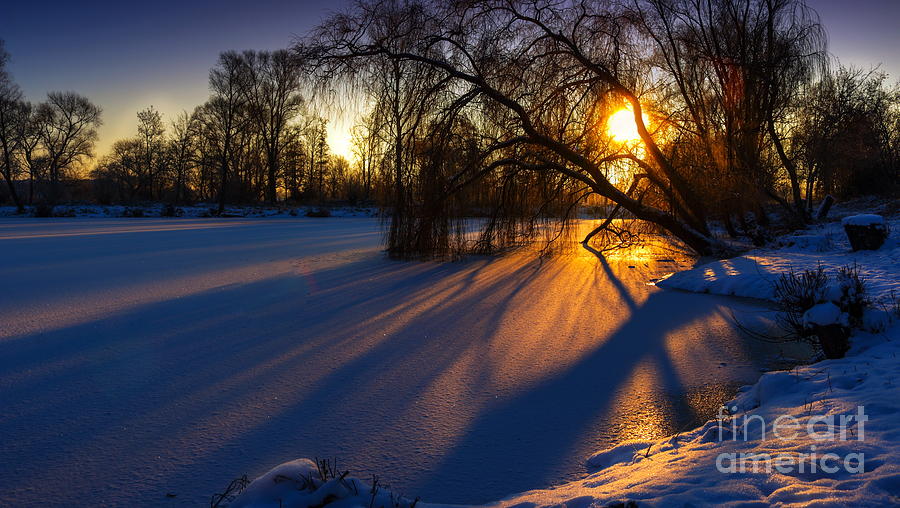 morning light by Franziskus Pfleghart morning light by Franziskus Pfleghart