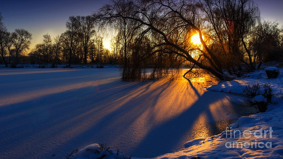 Morning Light Photograph by Franziskus Pfleghart