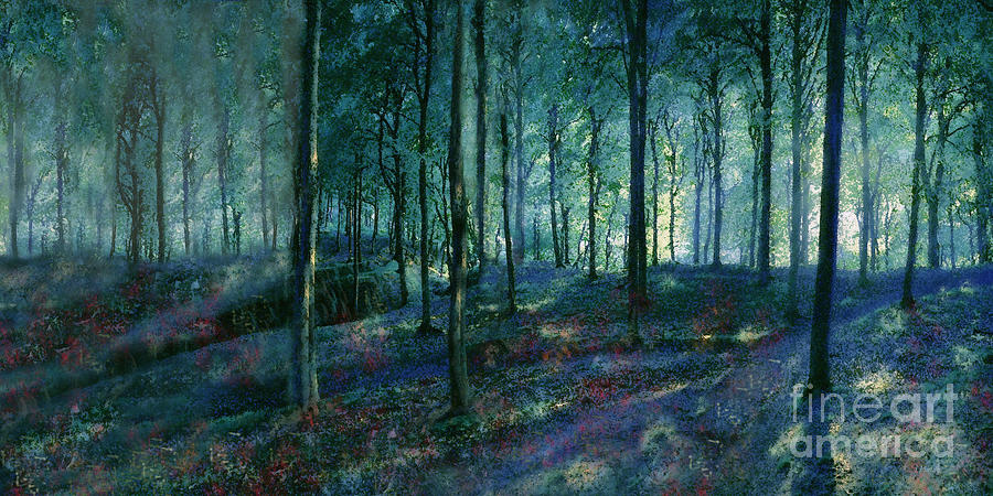 Tree Digital Art - Morning Light in the Forest by J Marielle