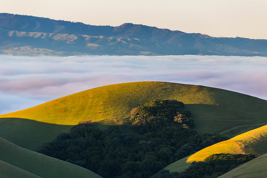 Morning Light on Hills and Fog Photograph by Marc Crumpler