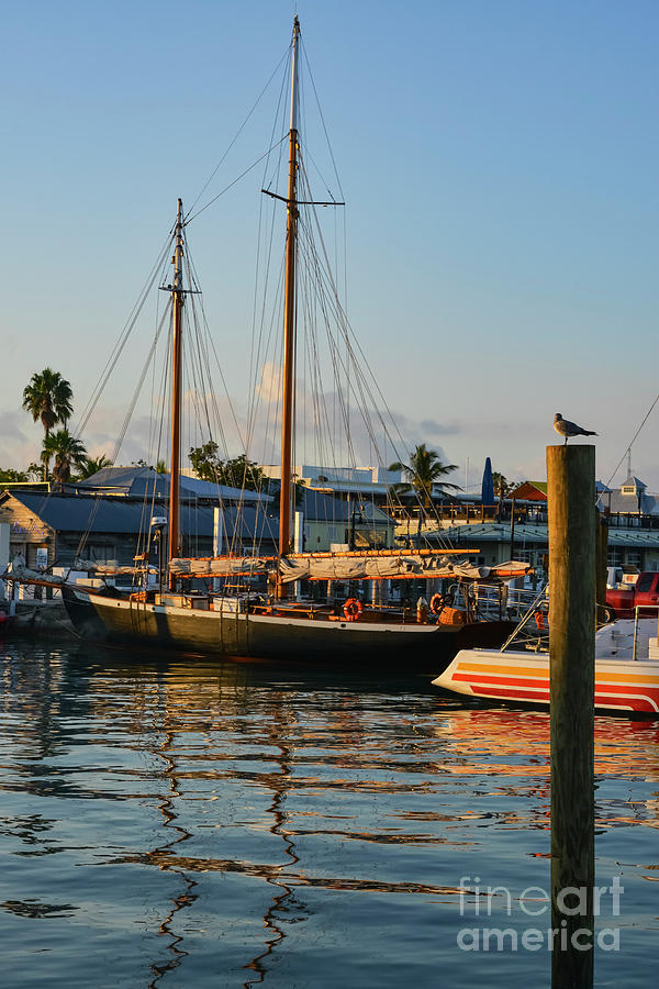 Morning Light on Key West Sailboat Photograph by Bob Phillips